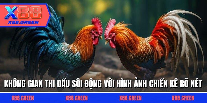 Không gian thi đấu sôi động với hình ảnh chiến kê rõ nét